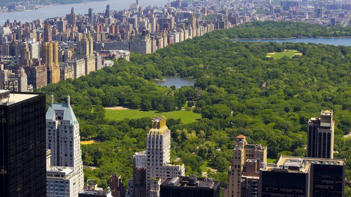 Record de căldură la New York: Mercurul indică peste 24 de grade