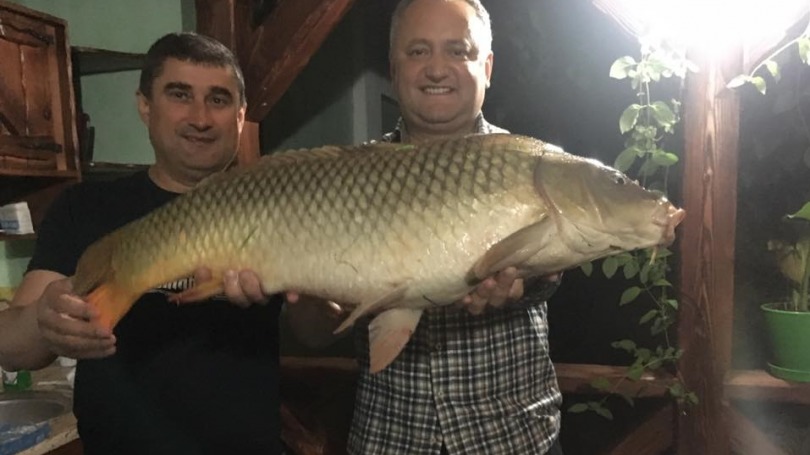 Firmă apropiată lui Dodon, cu pretenții de milioane față de Fabrica de conserve din Călărași. Foto: anticorupție.md