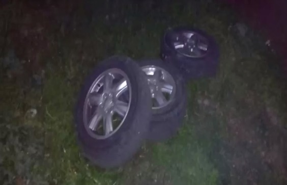 Trei tineri originari din raionul Şoldăneşti, cu vârstele cuprinse între 26 şi respectiv 30 ani, au fost reţinuţi în flagrant.