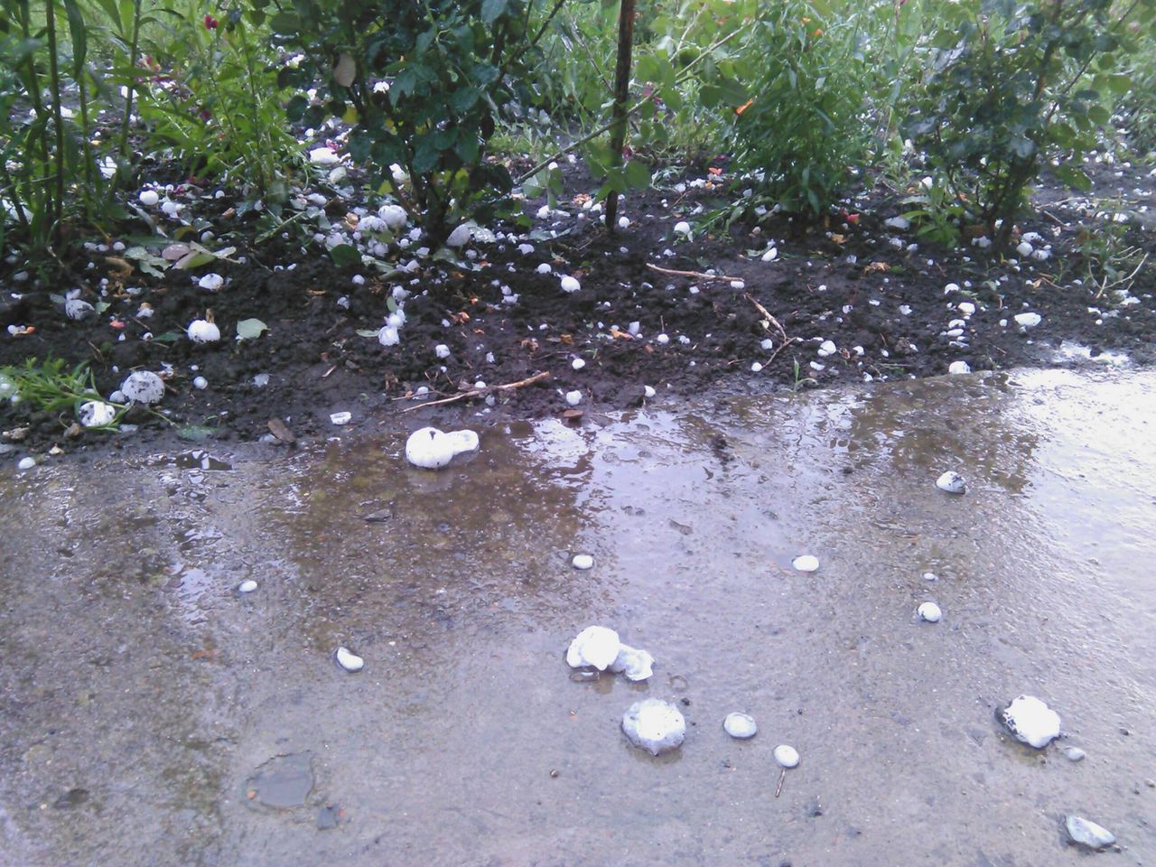 Grindina şi vântul puternic de acum câteva zile au făcut prăpăd în peste 130 de localităţi din 12 raioane. Foto: sputnik.md