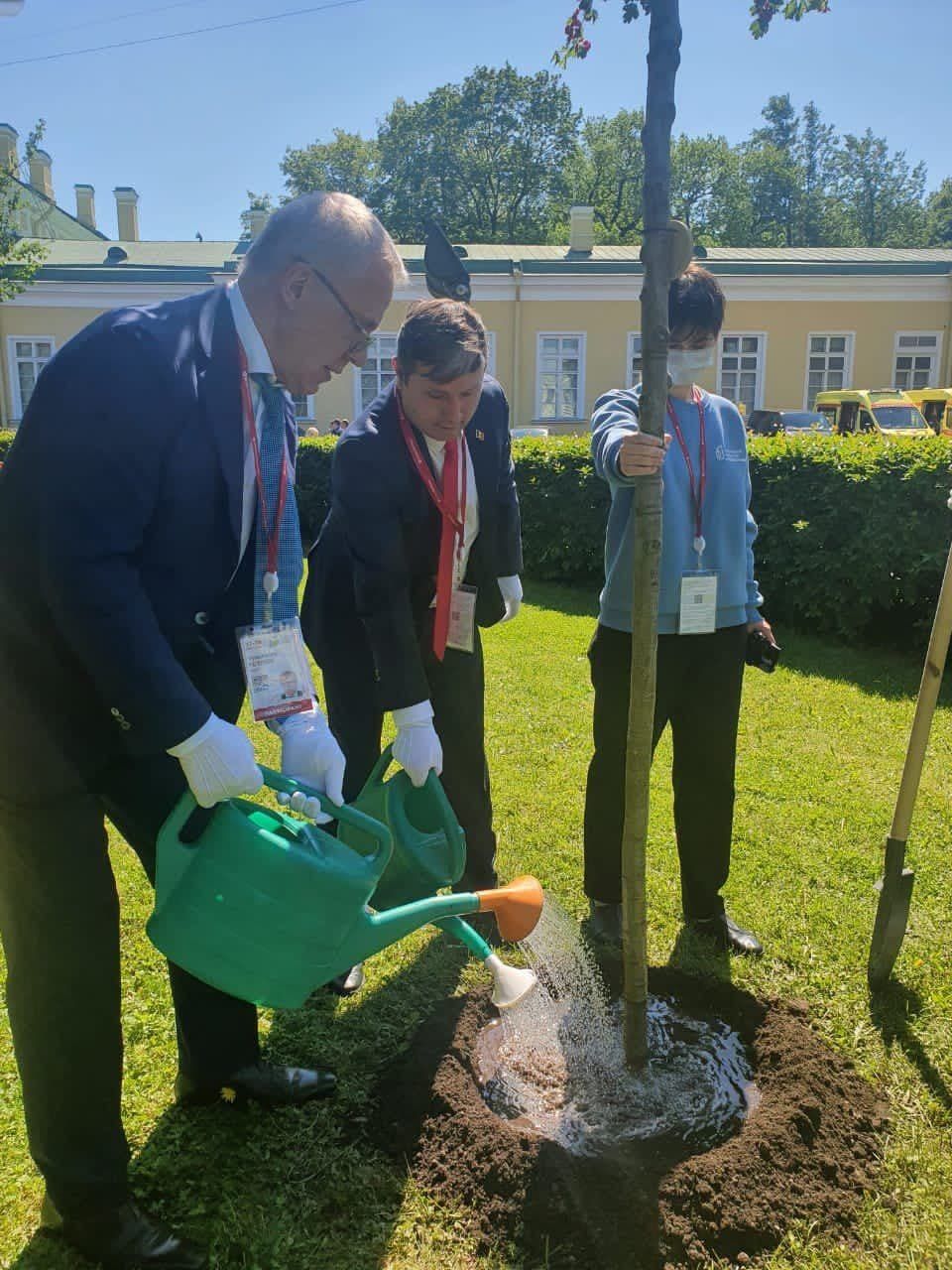 На конгрессе в Санкт-Петербурге Раду Мудряк и Вячеслав Фетисов посадили дерево