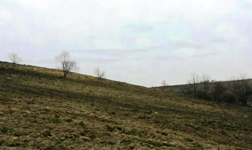 Conducătorii entităţilor silvice vor desfășura revizii planificate de primăvară, pentru a verifica terenurile date în arendă.