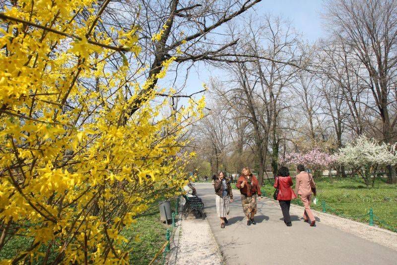 Duminică şi luni vom avea 24 de grade în condiţiile unui cer variabil, marţi vor fi 21 de grade însoţite de ploi. Foto: lideruldeopinie.ro