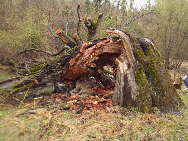Incidentul s-a intamplat in urma cu putin timp in apropiere de satul Cojusna, Straseni.