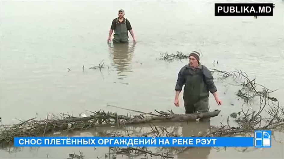 Сотрудники министерства окружающей среды уже приступли к демонтажу.