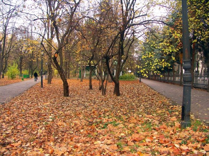 В ближайшие дни погода существенно не изменится.