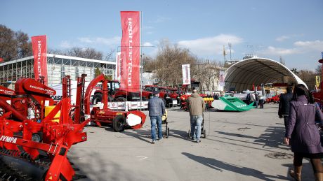 Выставка открылась сегодня и продлится до 5 марта.