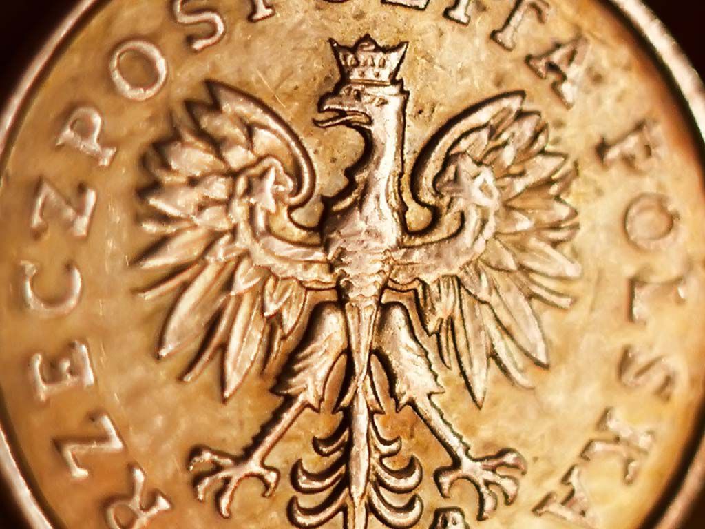 На сегодняшний день «самой дешевой валютой в мире» является польский злотый. Фото: img.unsofter.by
