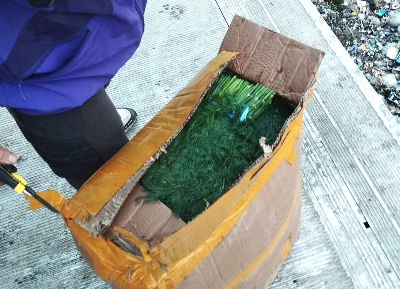 ANSA a confiscat un lot de mărar cu un conținut excesiv de pesticide.