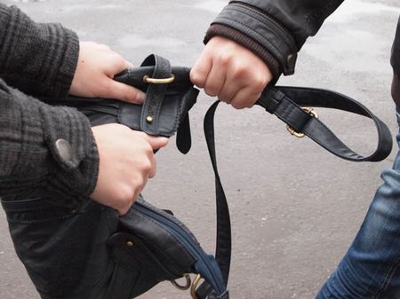 В сумке находилась незначительная сумма денег, документы и мобильный телефон.