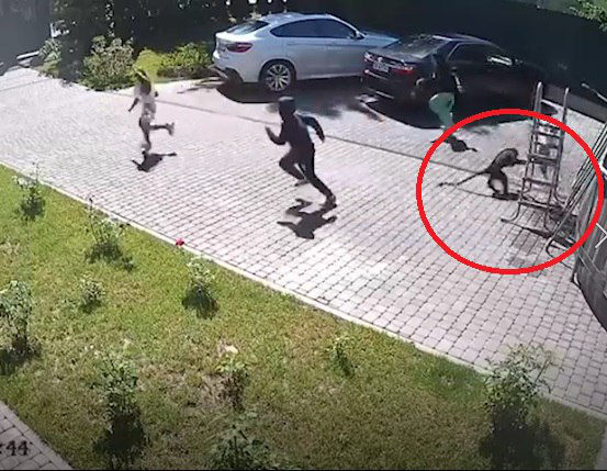 В Подмосковье сбежавшая от хозяев обезьяна напала на ребенка.