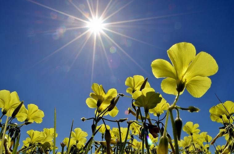 Vreme frumoasă și însorită anunță meteorologii pentru prima zi de weekend.