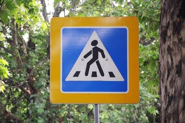 С начала года в Приднестровье зарегистрированы 19 наездов на пешеходов. Фото: novostipmr.com.