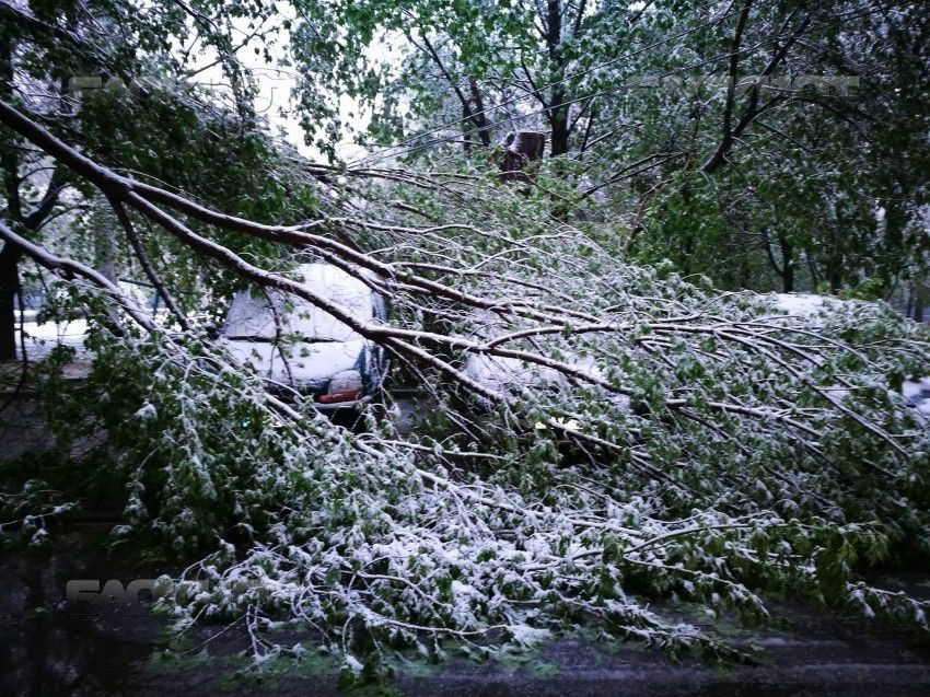Кишиневец получил перелом ноги.