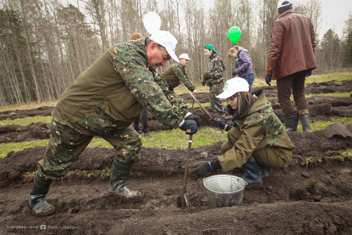 Согласно резолюции Генассамблеи ООН, каждый год 21 марта во всем мире отмечается  Международный день лесов.