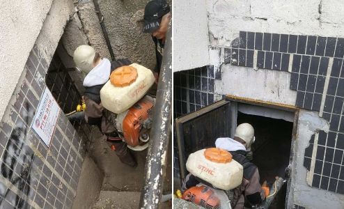 В подвалах столичных домов проводятся дезинсекция и дератизация.