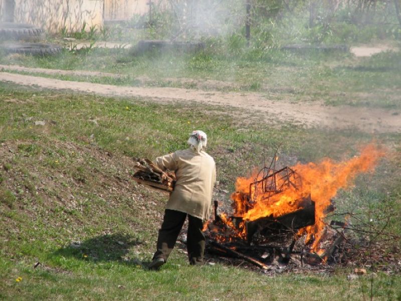 Лидер Либеральной партии Михай Гимпу предложил уточнить конкретную площадь растительности, за сжигание которой будут взиматься штрафы. Фото: beresta.by
