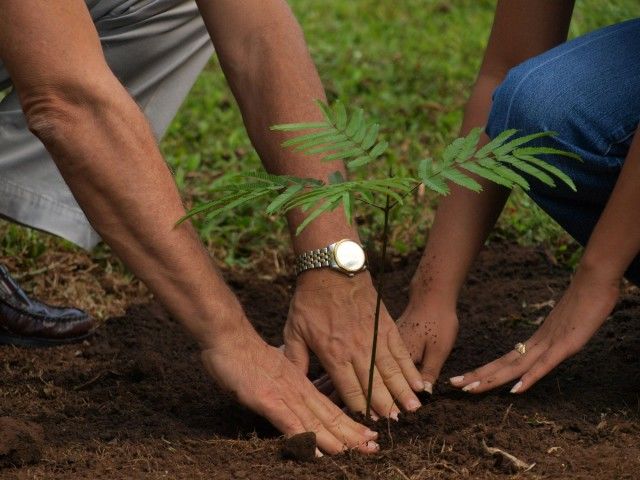 Peste 2.300 de copaci, sădiţi de voluntari în Orhei
