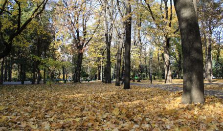 В начале следующей недели будет сохраняться погода, отмечавшаяся на выходных.