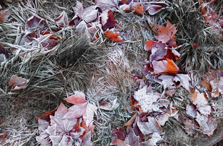 Заморозки до -2°С: в Молдове объявлен желтый уровень метеоопасности.