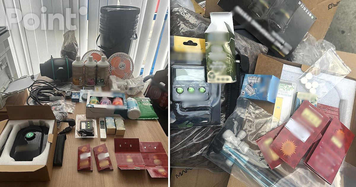 Semințe de canabis și echipamente de cultivare, depistate la vama Palanca.