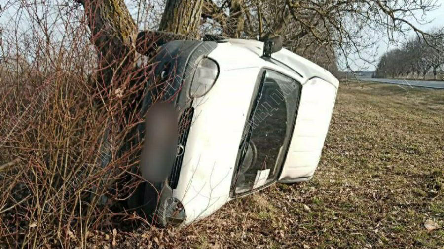 В Рыбницком районе произошло ДТП: автомобиль врезался в дерево.