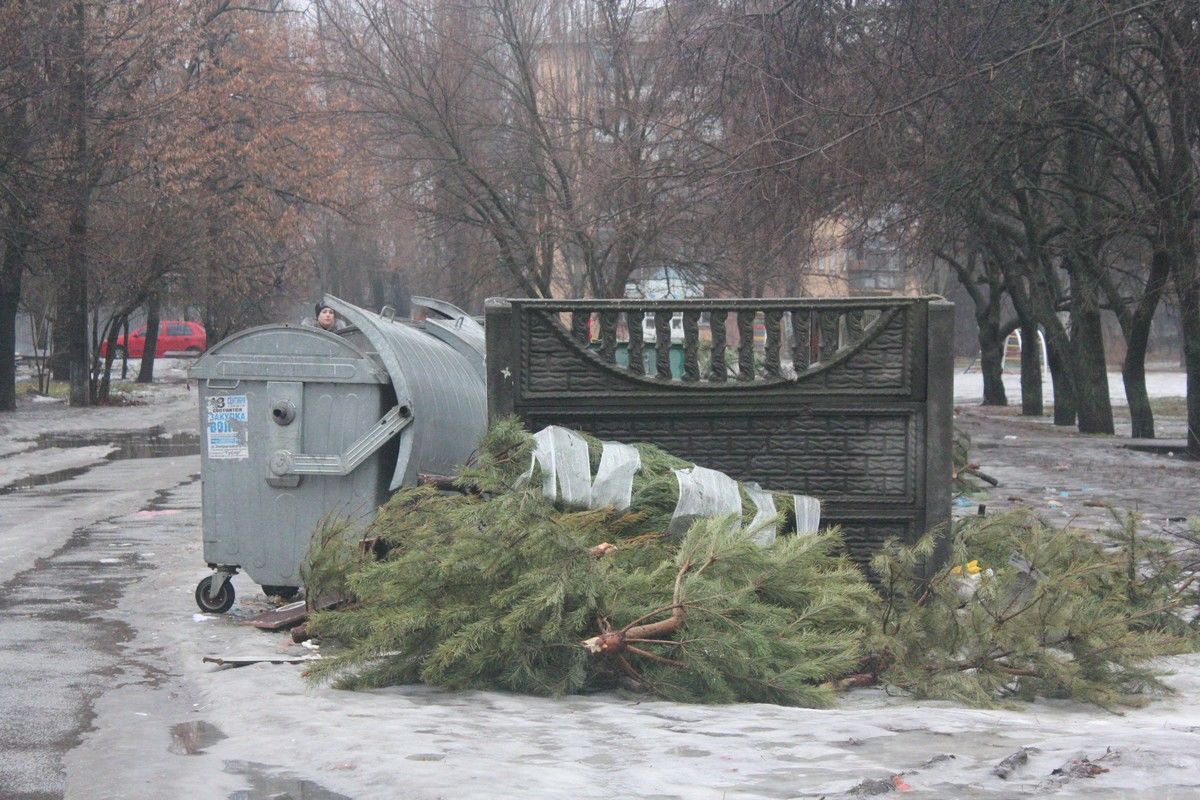 Жителей Кишинева просят складывать использованные елки рядом с площадками для мусора.