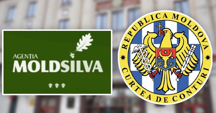 «Moldsilva» прокомментировала нарушения, обнаруженные Счетной палатой. Фото: Point.md.