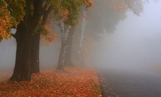 Joi, vremea se schimbă radical. Intră în vigoare codul galben de vreme rece, vânt și lapoviță. Vor cădea averse în toată țara, vântul va sufla mai puternic