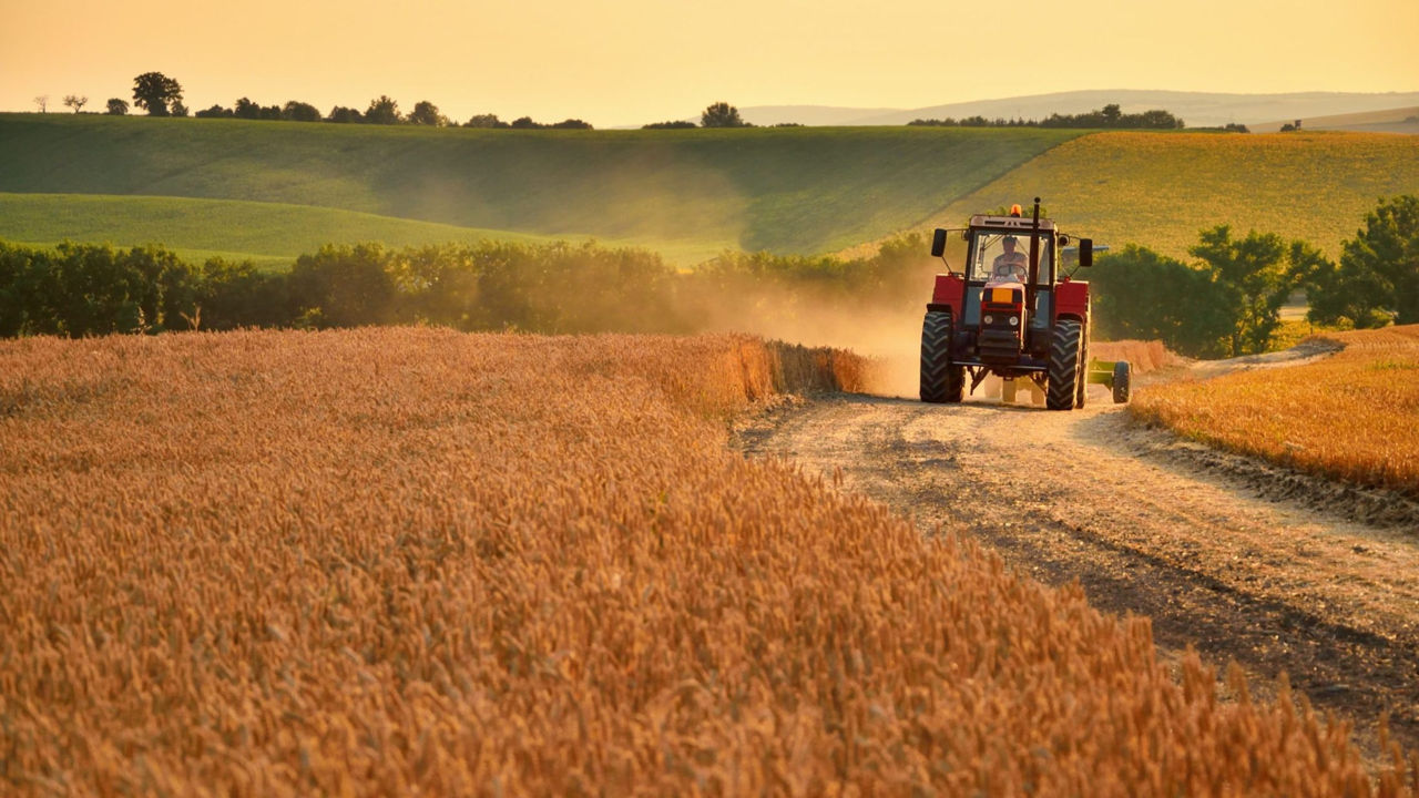 Sistemul de colectare a datelor din agricultură, reorganizat și aliniat la regulamente UE.