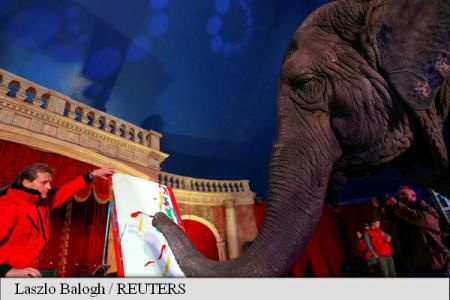 Operele unui elefant care pictează, vândute la licitație. Foto: agerpres.ro