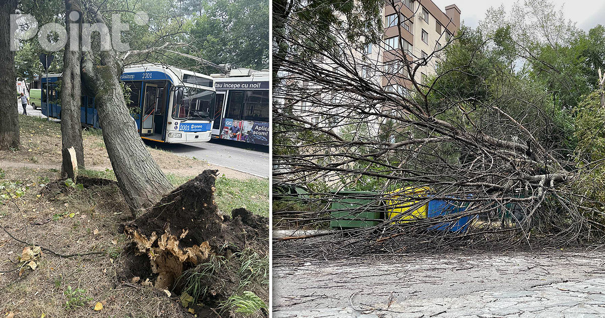 Vântul puternic a doborât copaci și a smuls acoperișuri: Echipele de salvare au avut peste 40 de intervenții.