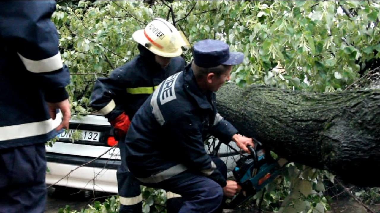 Помощь спасателей потребовалась для разблокирования машин, на которые упали деревья.