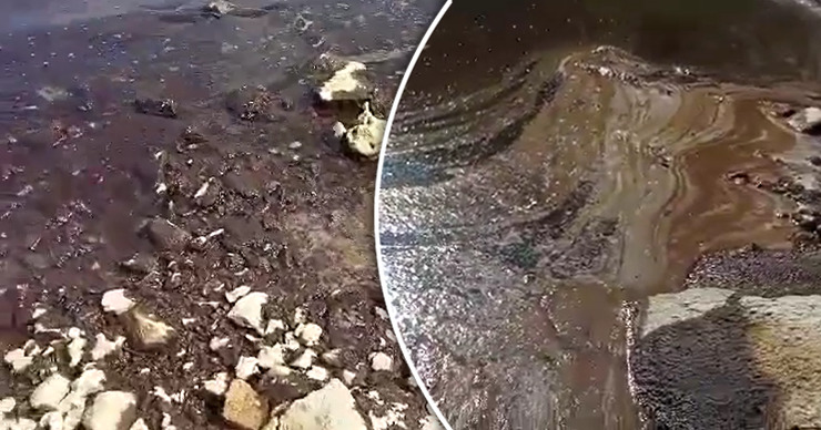 Весь берег села Наславча этой жижей укрыт. Коллаж: Point.md.