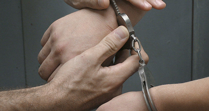 Прокуроры считают данный приговор слишком мягким и намерены его обжаловать.