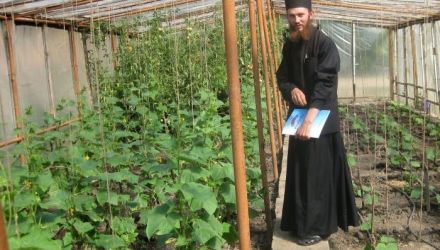 Tot mai mulţi agricultori încearcă să crească fructe şi legume ecologice