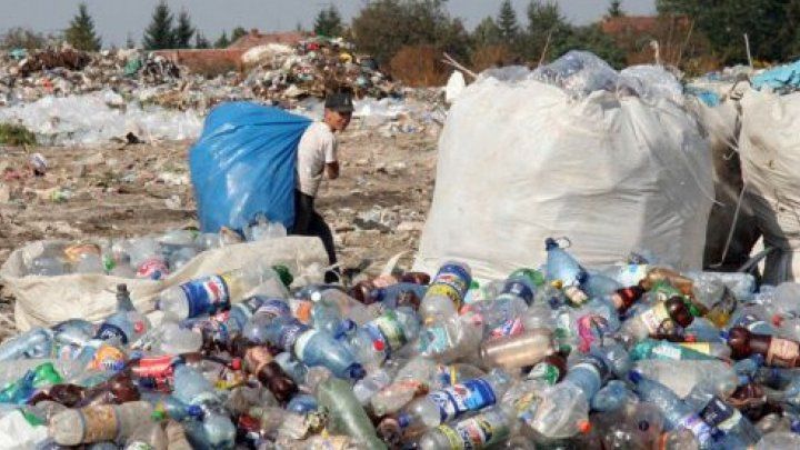 Жильцы многоэтажки в Кишиневе превратили соседний лес в свалку.