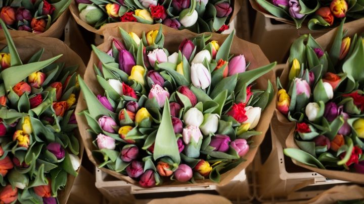 Aglomeraţie la florăriile din Capitală: Bărbaţii se îmbulzesc. Foto: Pexels