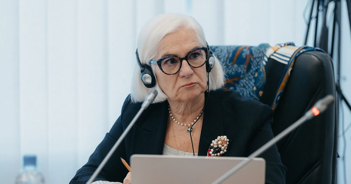 Член международной комиссии Vetting подала в отставку.