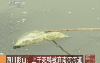 Descoperire macabră într-un râu din China, spre groaza localnicilor care nu mai ştiu ce să creadă.