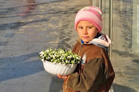 Cartea Roşie a Republicii Moldova cuprinde 264 de specii pe cale de dispariţie,118 dintre care sunt plante. 