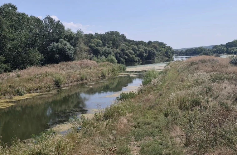 Проверки на Днестре продолжаются: незаконное использование воды в поле зрения инспекторов.