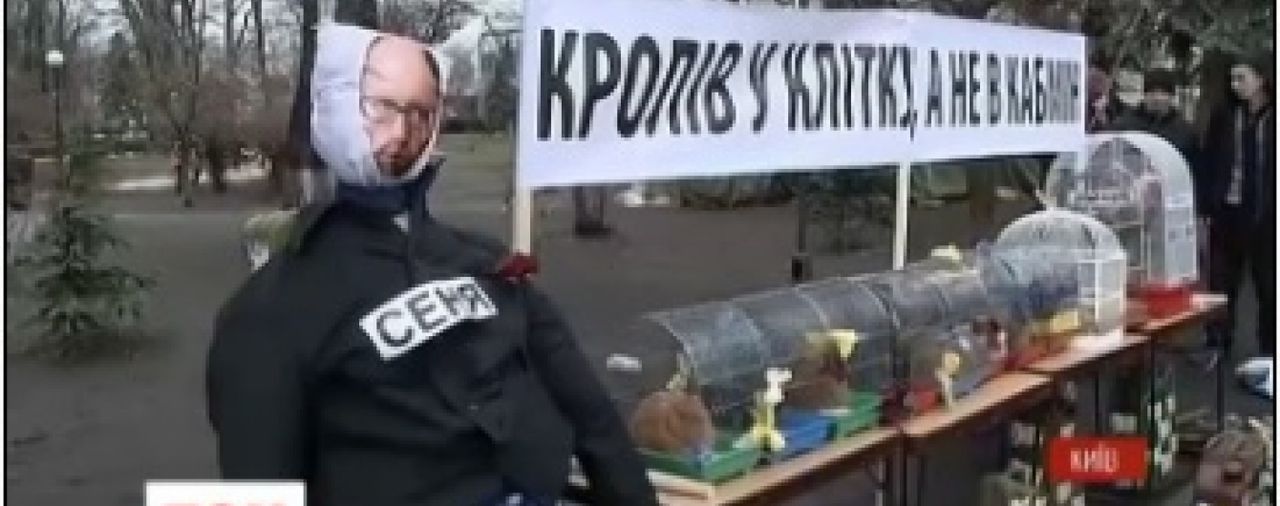 На клетках написали фамилии министров и главы Кабмина Арсения Яценюка.