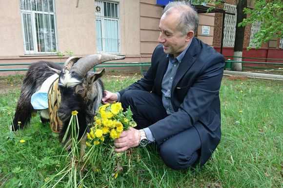 Козла смогут выписать не раньше, чем через три недели.