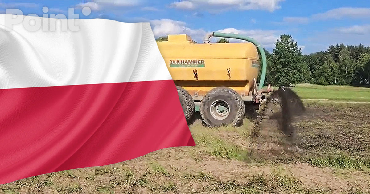 Польские фермеры разлили свиной навоз на границе для борьбы с мигрантами.