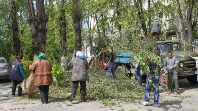 Рабочие вынесли из хозяйств 234 поломанных стихией дерева.