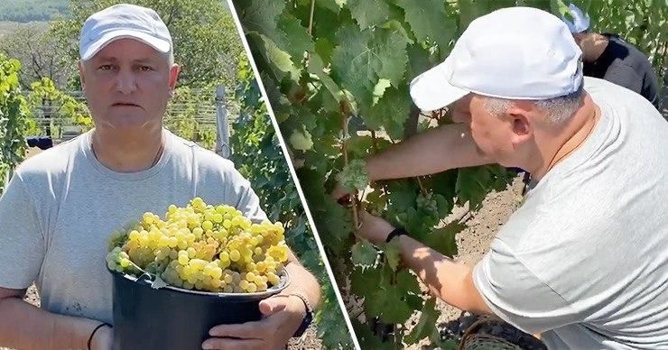 Президент Молдовы Игорь Додон.