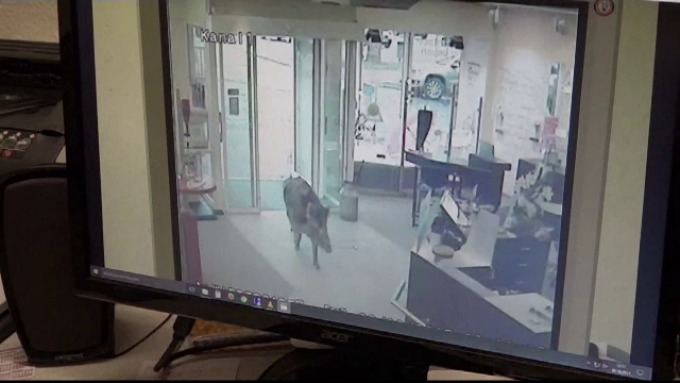 Doi mistreți au terorizat angajații unei bănci. 