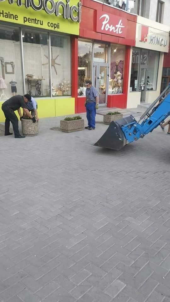На столичной улице разместили клумбы, чтобы тротуар не блокировали авто.