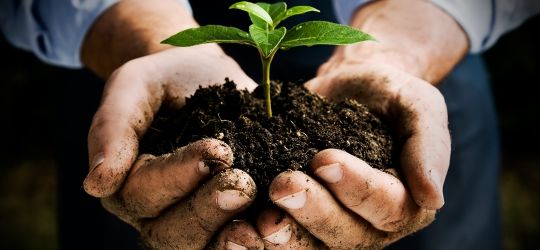 Agenţia de Intervenţie şi Plăţi pentru Agricultură a anunţat că a elaborat noul regulament pentru plăţile în agricultură în 2017. Foto: APIA